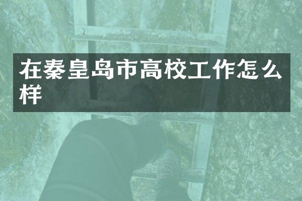 在秦皇岛市高校工作怎么样