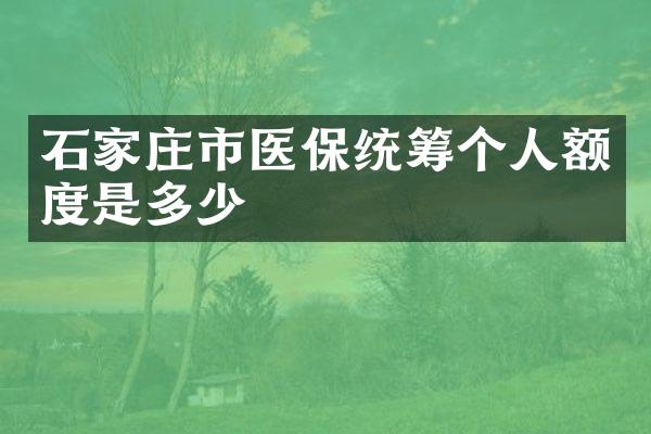 石家庄市医保统筹个人额度是多少