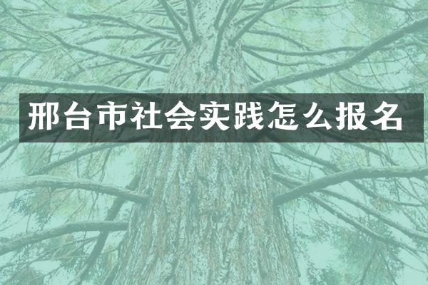 邢台市社会实践怎么报名