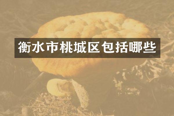 衡水市桃城区包括哪些