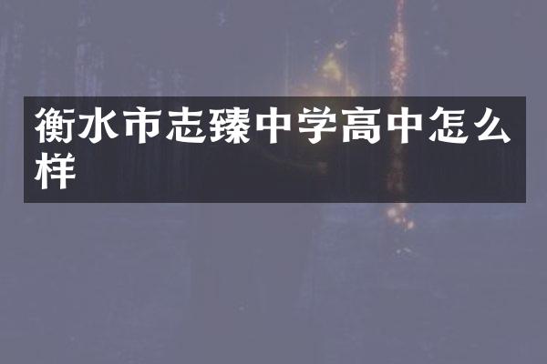衡水市志臻中学高中怎么样
