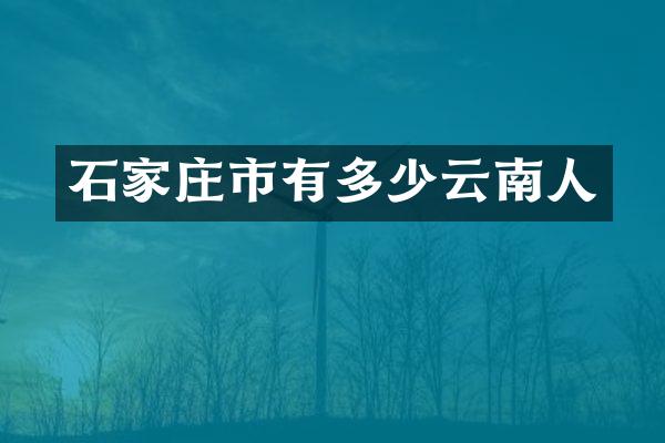 石家庄市有多少云南人