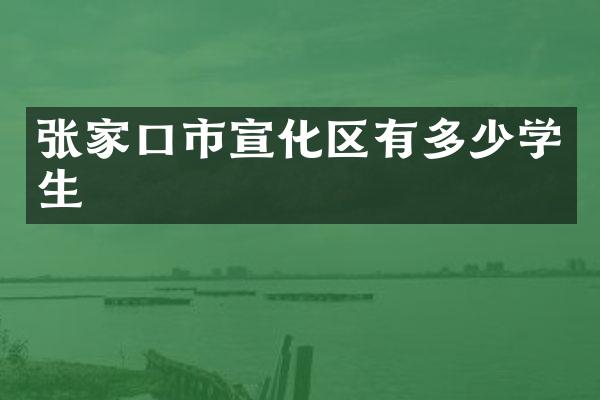 张家口市宣化区有多少学生