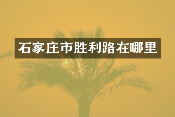 石家庄市胜利路在哪里
