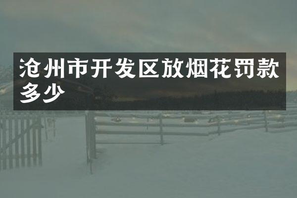 沧州市开发区放烟花罚款多少