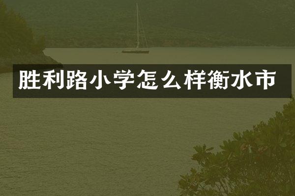 胜利路小学怎么样衡水市