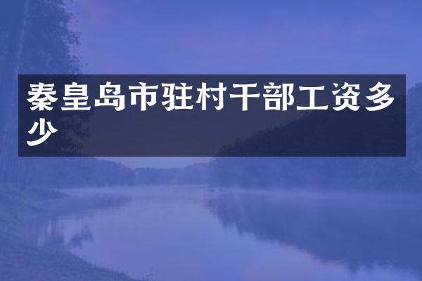 秦皇岛市驻村干部工资多少