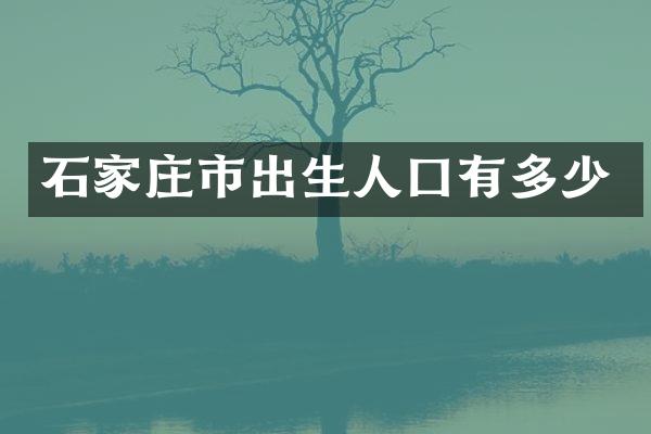 石家庄市出生人囗有多少