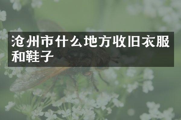 沧州市什么地方收旧衣服和鞋子