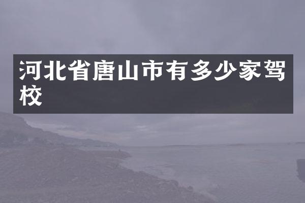 河北省唐山市有多少家驾校