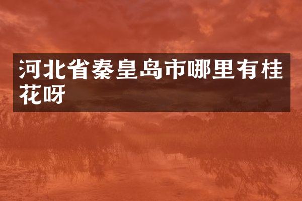 河北省秦皇岛市哪里有桂花呀
