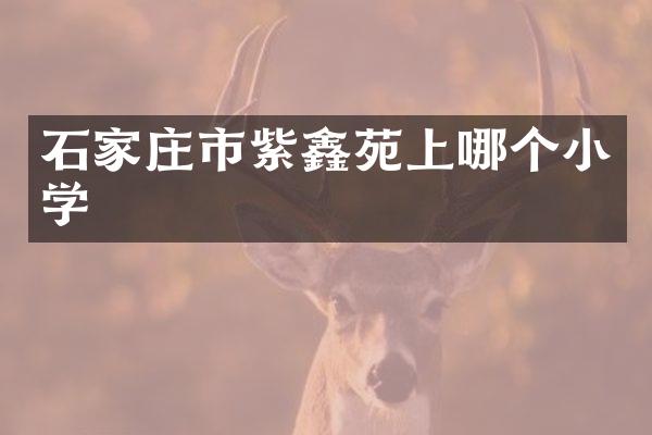 石家庄市紫鑫苑上哪个小学