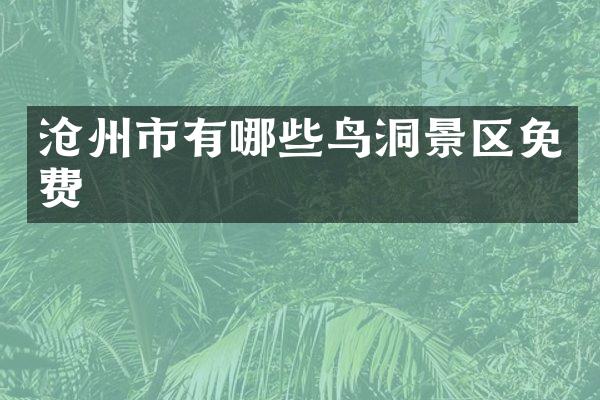 沧州市有哪些鸟洞景区免费