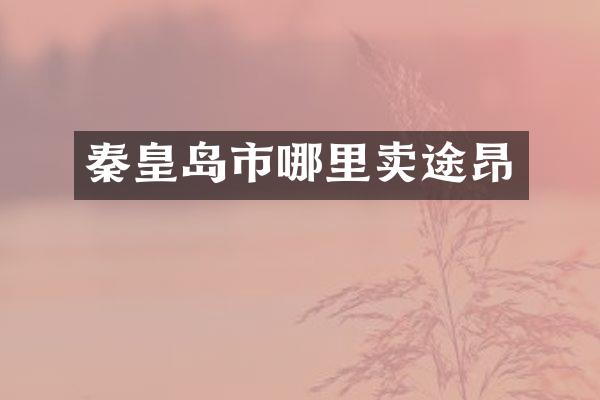 秦皇岛市哪里卖途昂