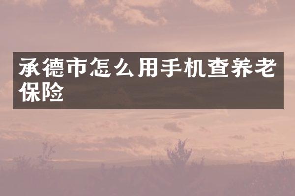承德市怎么用手机查养老保险