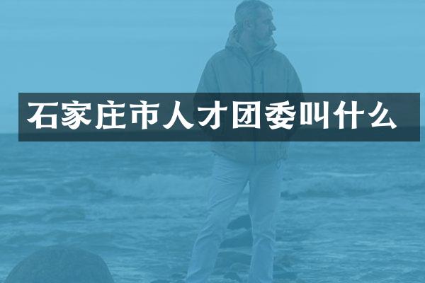 石家庄市人才团委叫什么