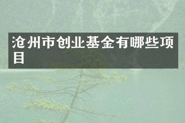 沧州市创业基金有哪些项目