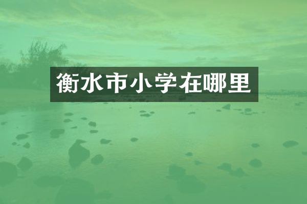 衡水市小学在哪里