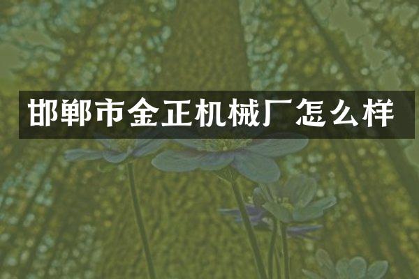 邯郸市金正机械厂怎么样