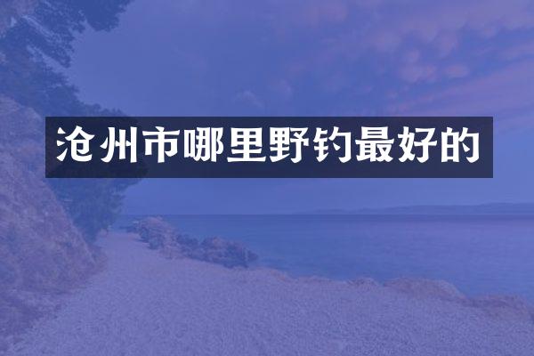 沧州市哪里野钓最好的