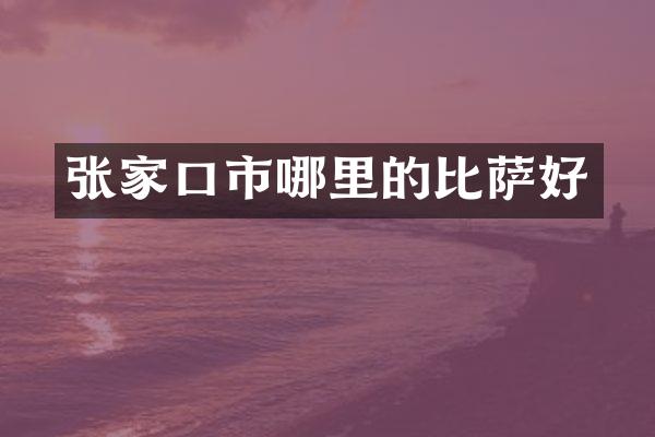 张家口市哪里的比萨好