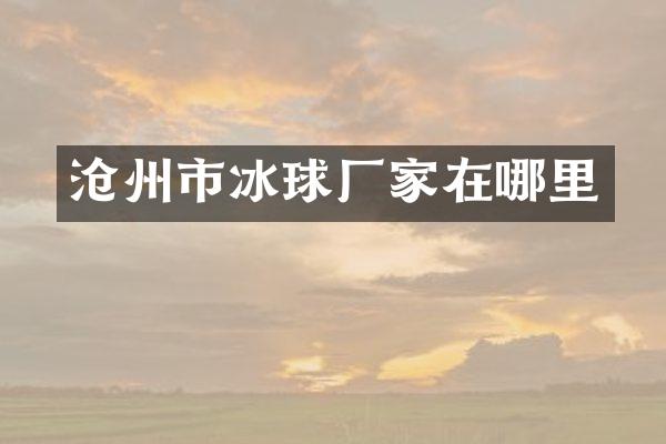 沧州市冰球厂家在哪里