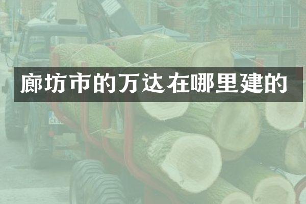 廊坊市的万达在哪里建的