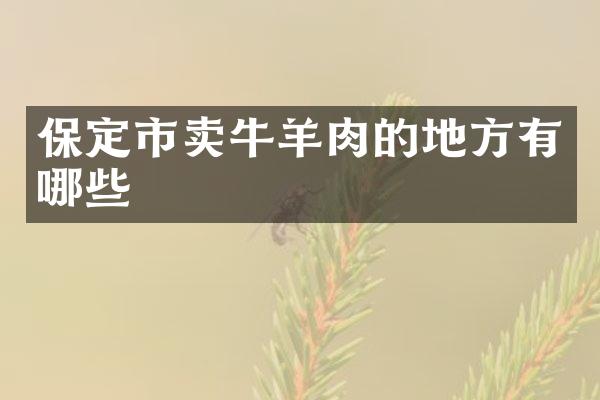 保定市卖牛羊肉的地方有哪些