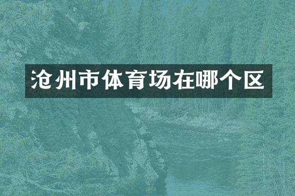 沧州市体育场在哪个区