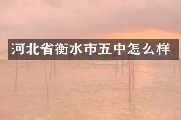 河北省衡水市五中怎么样