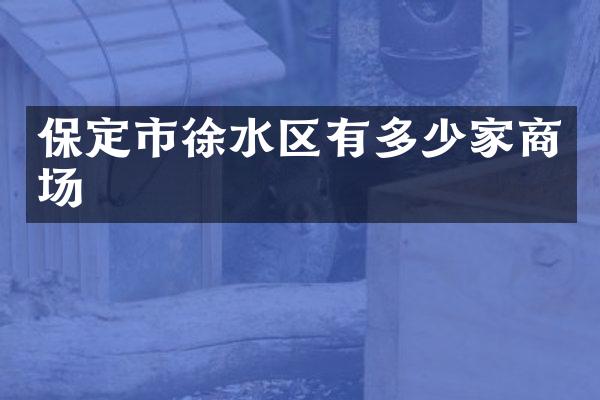 保定市徐水区有多少家商场