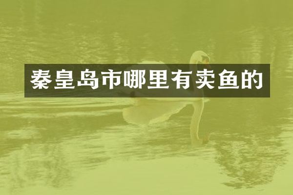 秦皇岛市哪里有卖鱼的