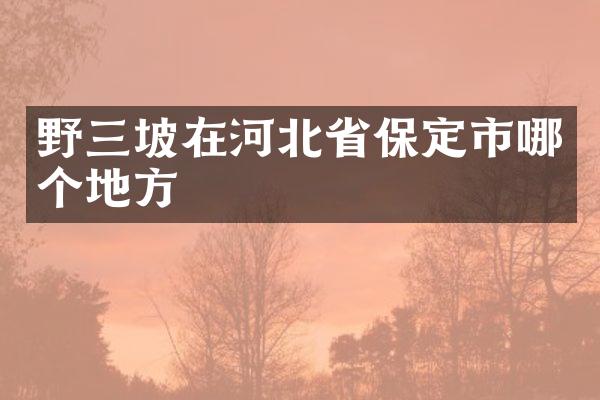 野三坡在河北省保定市哪个地方