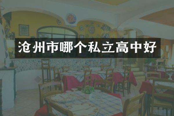 沧州市哪个私立高中好