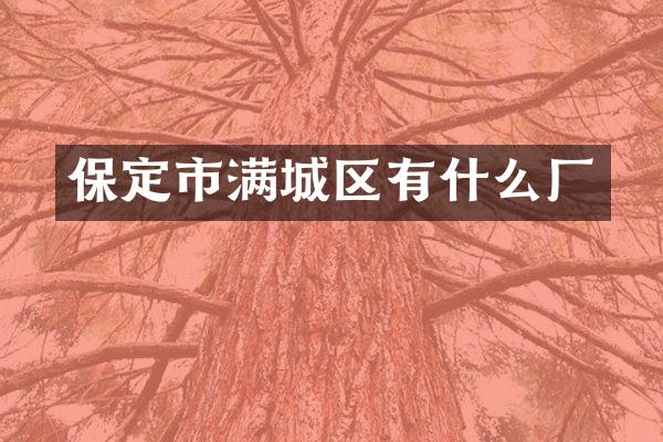 保定市满城区有什么厂