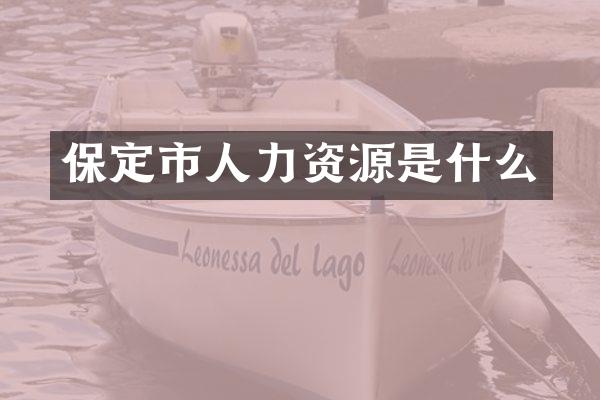 保定市人力资源是什么