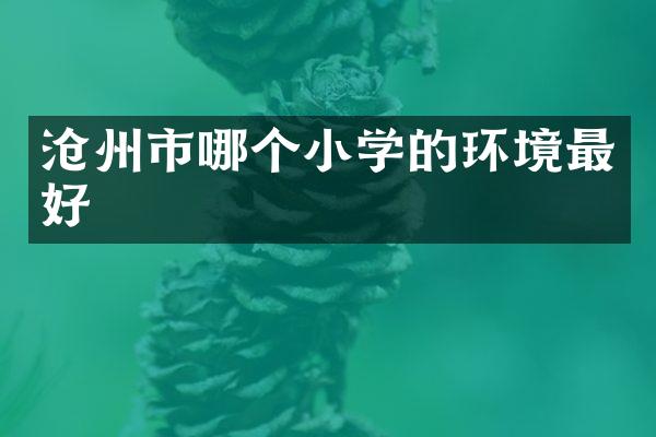 沧州市哪个小学的环境最好