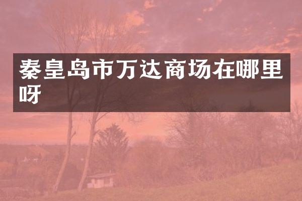 秦皇岛市万达商场在哪里呀