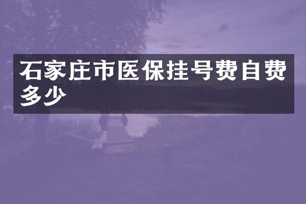 石家庄市医保挂号费自费多少