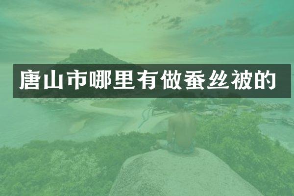 唐山市哪里有做蚕丝被的