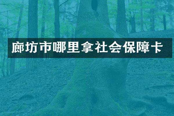廊坊市哪里拿社会保障卡