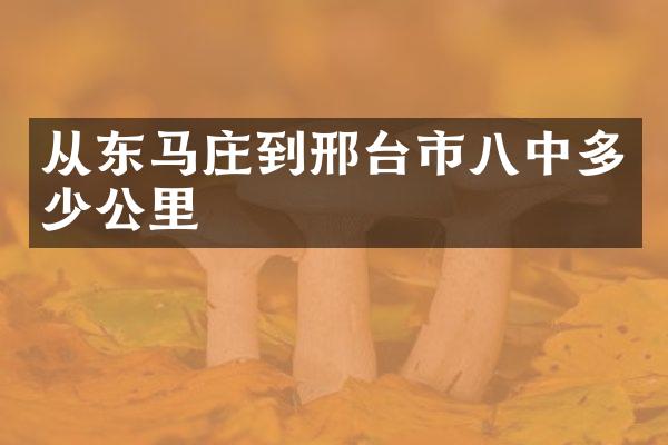 从东马庄到邢台市八中多少公里