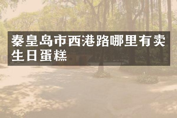 秦皇岛市西港路哪里有卖生日蛋糕