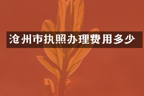 沧州市执照办理费用多少