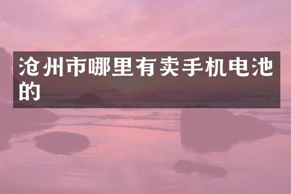 沧州市哪里有卖手机电池的