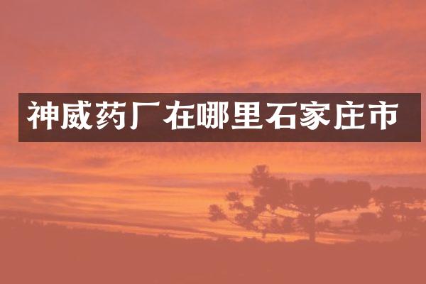 神威药厂在哪里石家庄市