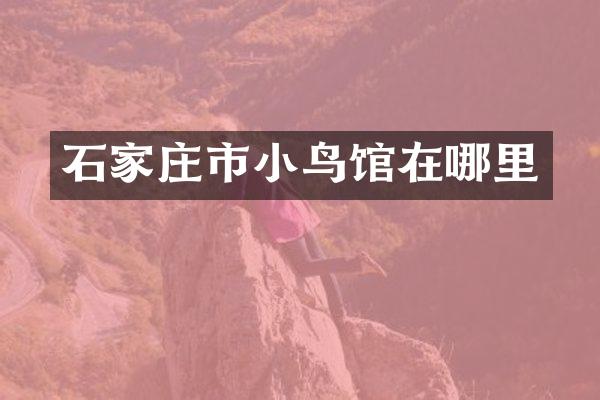 石家庄市小鸟馆在哪里