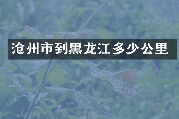 沧州市到黑龙江多少公里