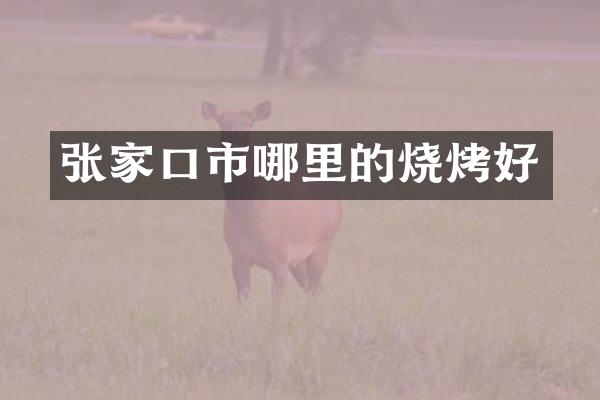 张家口市哪里的烧烤好