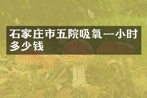 石家庄市五院吸氧一小时多少钱
